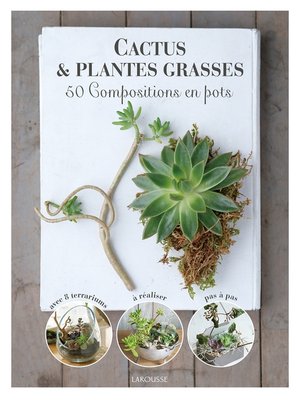 cover image of Cactus et plantes grasses